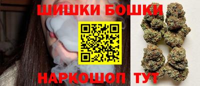 индика Беслан