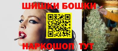 индика Беслан