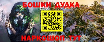 индика Беслан